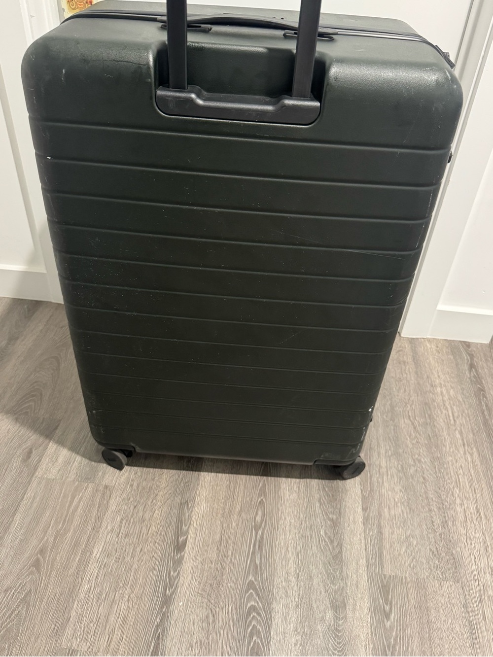 Away Large Flex Luggage - Green - Picture 6 of 10